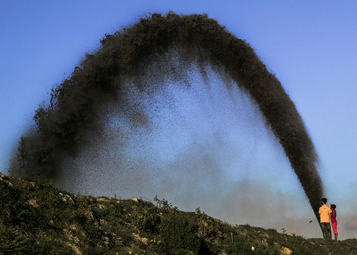 30 Facts People Learned In School That Are Now Disproven Because Science Moved Forward