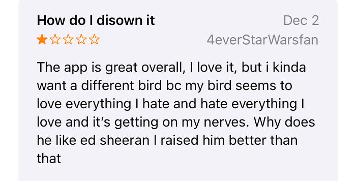 What Did Ed Sheeran Do?