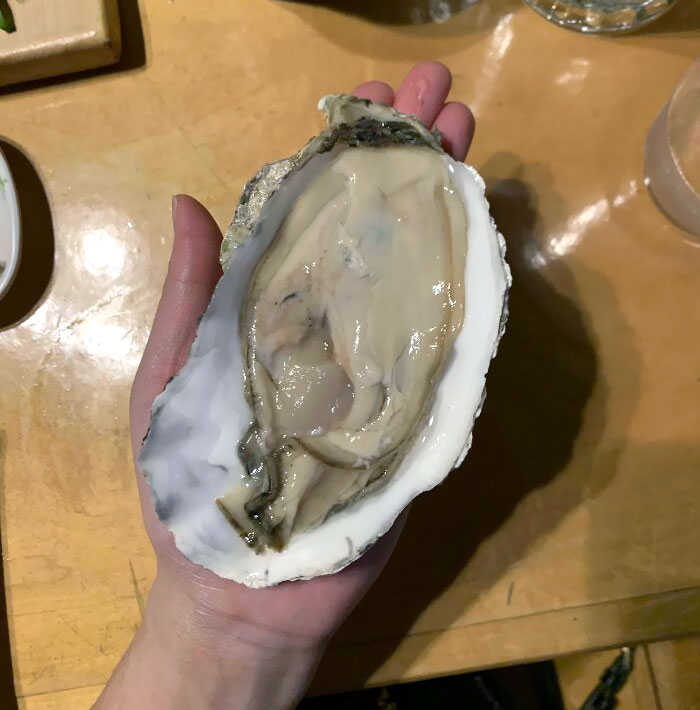 This Oyster I Was Served Today