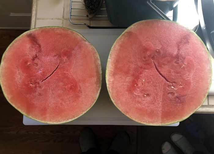 I Think I Won The Watermelon Lottery