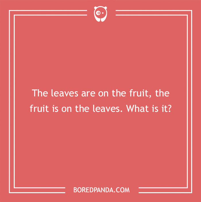 96 Food Riddles That Might Satisfy Your Appetite For A Good Brain Teaser