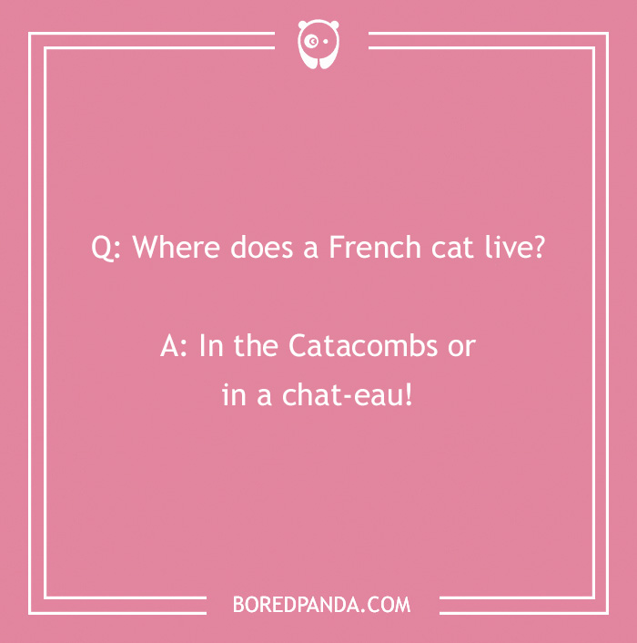 French joke asking where a French cat lives, punchline about catacombs and chateaux.