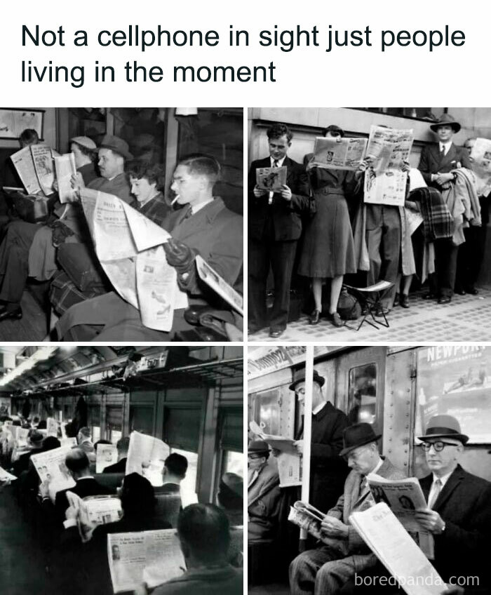 Funny-Daily-Humor-Memes