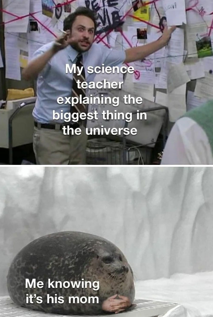 Funny-Daily-Humor-Memes