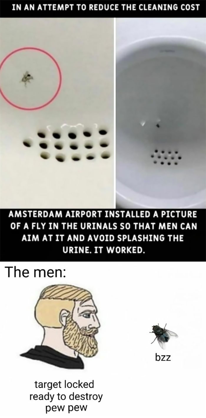 Funny-Daily-Humor-Memes