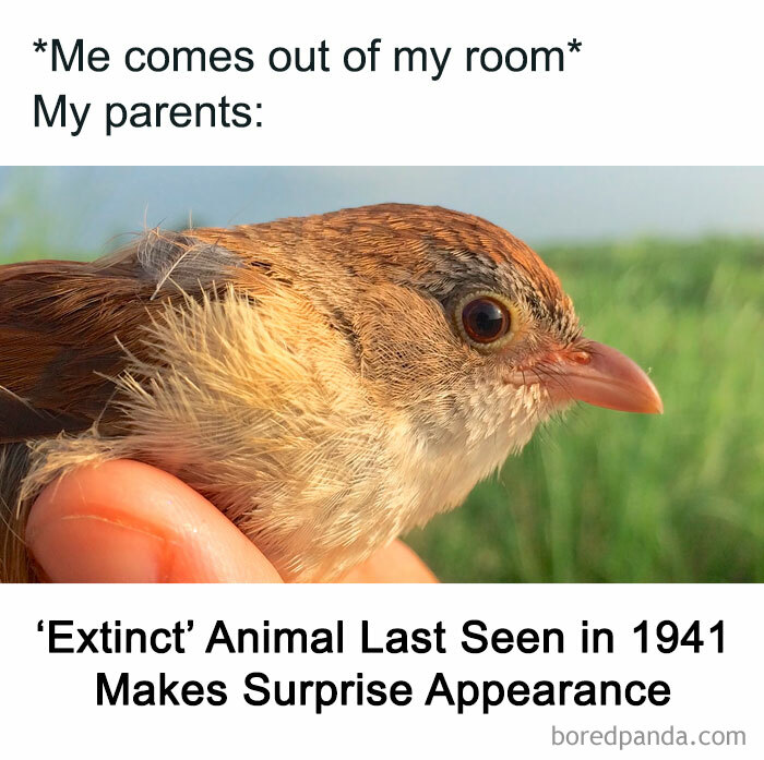 Funny-Daily-Humor-Memes