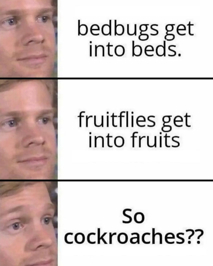 Funny-Daily-Humor-Memes