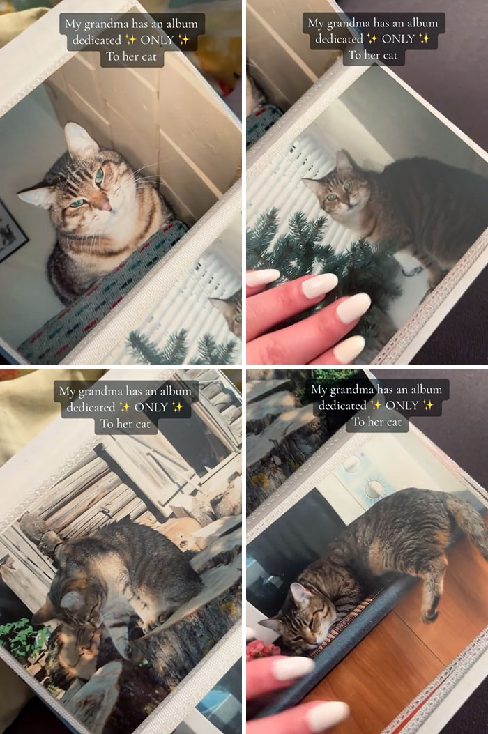 I Hope I Get This Type Of Unconditional Love