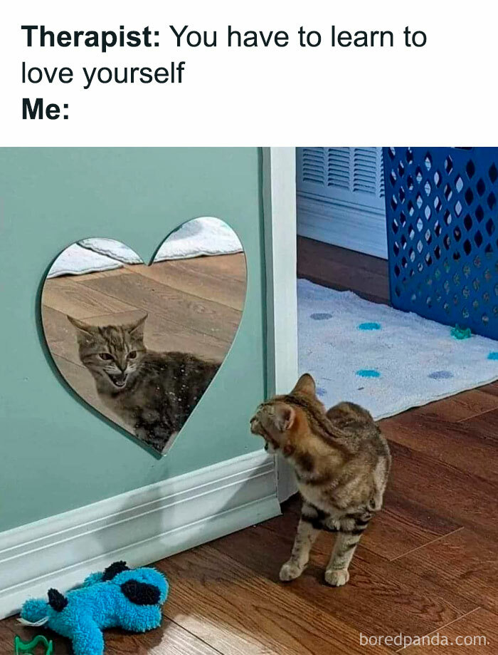 Funny-Mental-Health-Memes