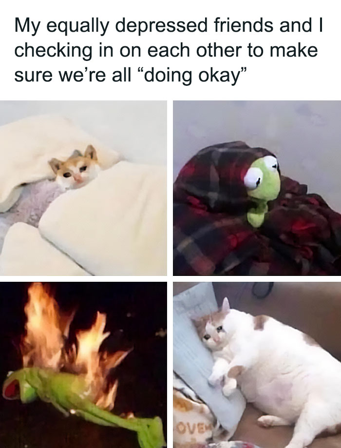 Funny-Mental-Health-Memes