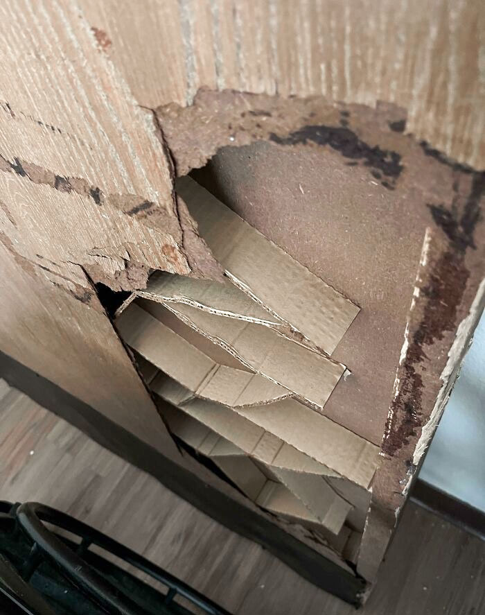 The Inside Of This Cheap Door Is Filled With Cardboard