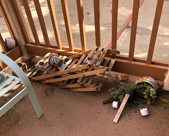 I Have Officially Learned My Lesson About Buying Cheap Furniture From Amazon. Have Had All Those Plants/Pots For Years