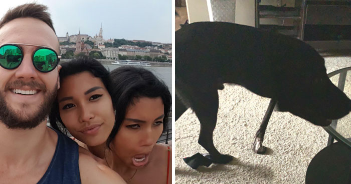 35 Times People Tried To Take Panoramic Pics But Captured Glitches In The Matrix Instead