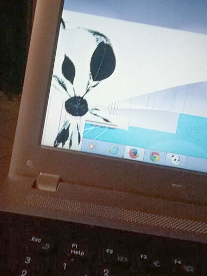 My Dad Called Me Last Night Saying That He Thinks He Has A Virus On His Laptop Because Some Kind Of Flower Showed Up On His Screen. Today He Sent Me This Picture