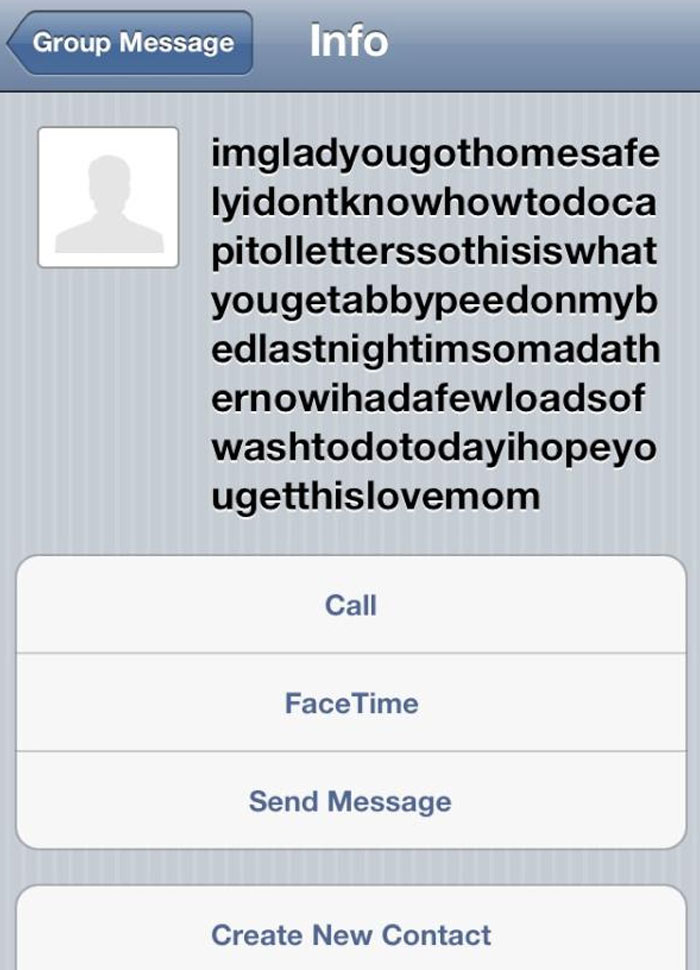 My Mom Just Sent Me A Pic Of Her Dog From Her New iPad. Here's One Of The Other "Recipients". Technology Is Hard