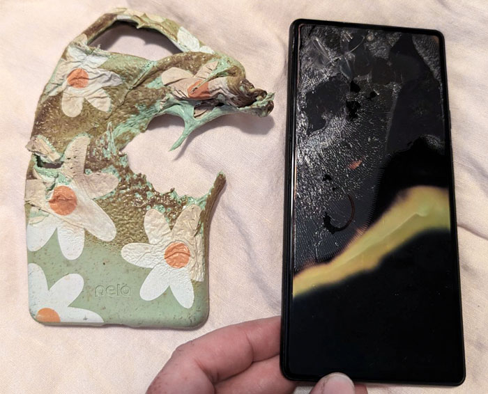 My Mom Dropped Her Google Pixel 6 In The Toaster And Didn't Realize It. The Screen Isn't Cracked, Just Melted