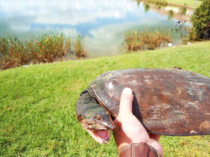 Justo antes del dolor