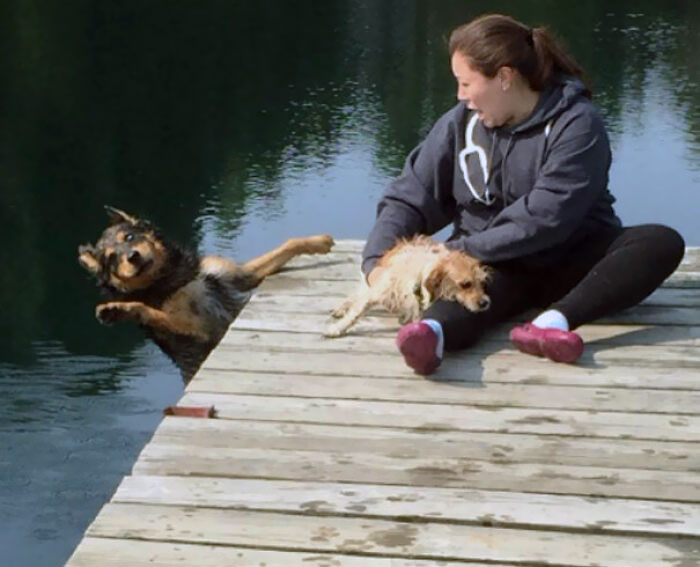 Ni el perro se lo esperaba 