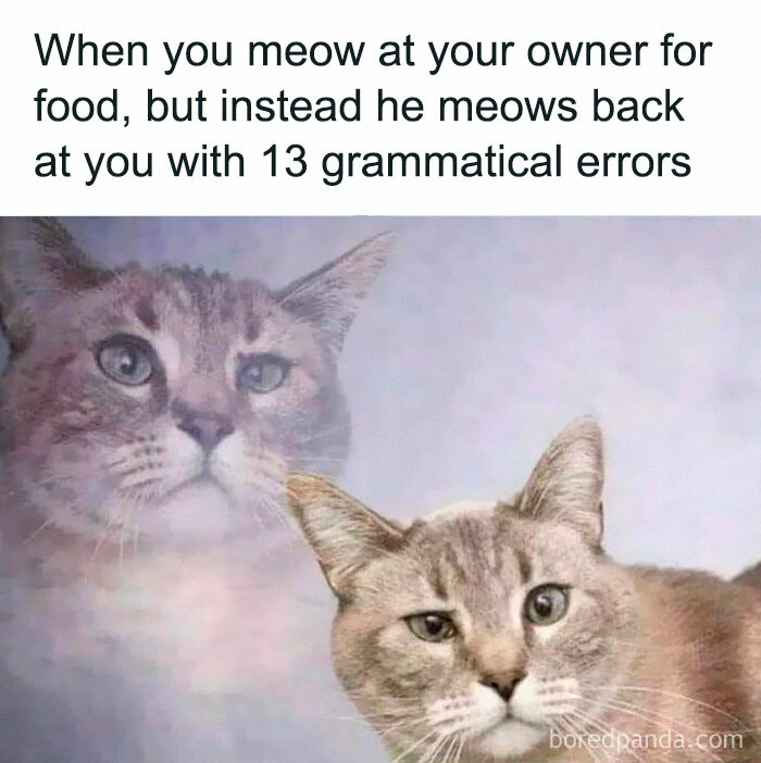 Funny-Random-Relatable-Memes-Memesmelody