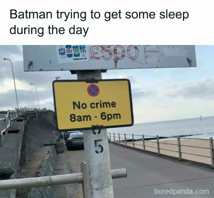 Funny-Random-Relatable-Memes-Memesmelody