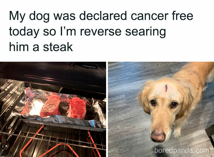 Funny-Random-Relatable-Memes-Memesmelody