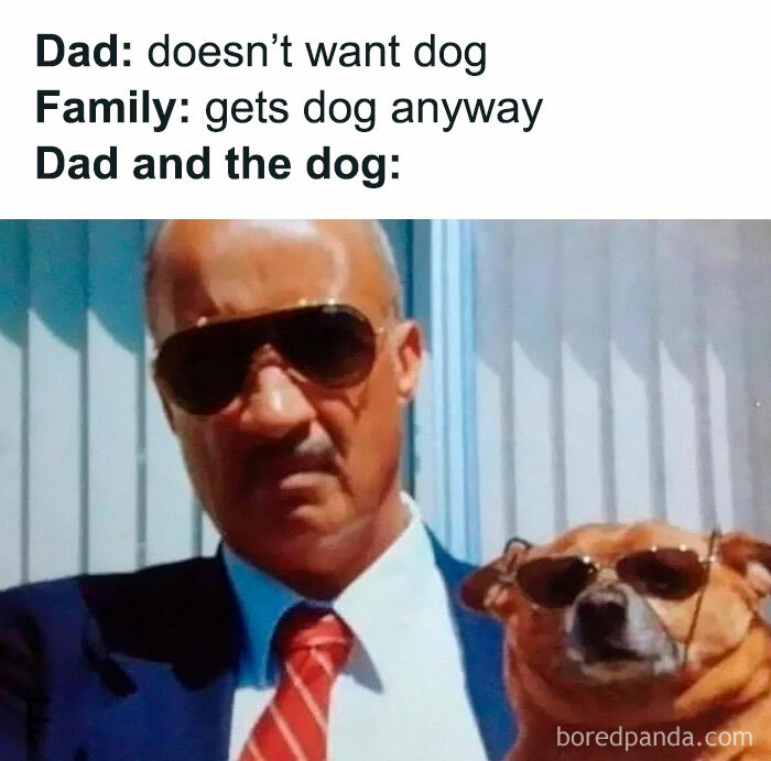 Funny-Random-Relatable-Memes-Memesmelody