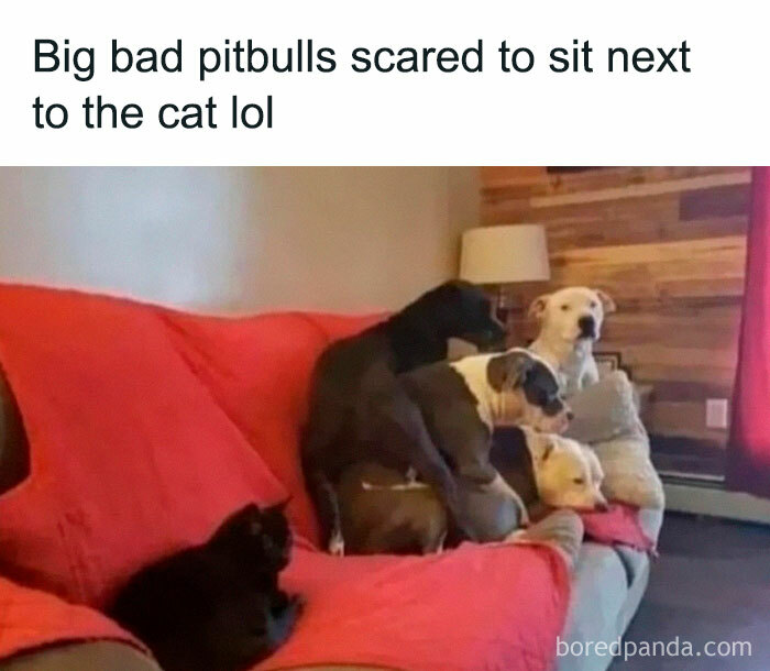 Funny-Random-Relatable-Memes-Memesmelody