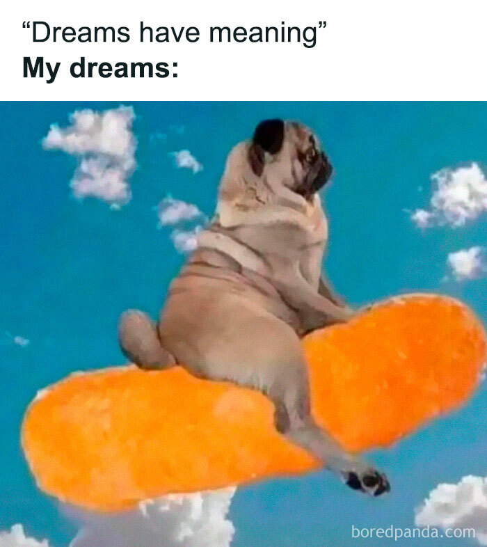 Funny-Random-Relatable-Memes-Memesmelody