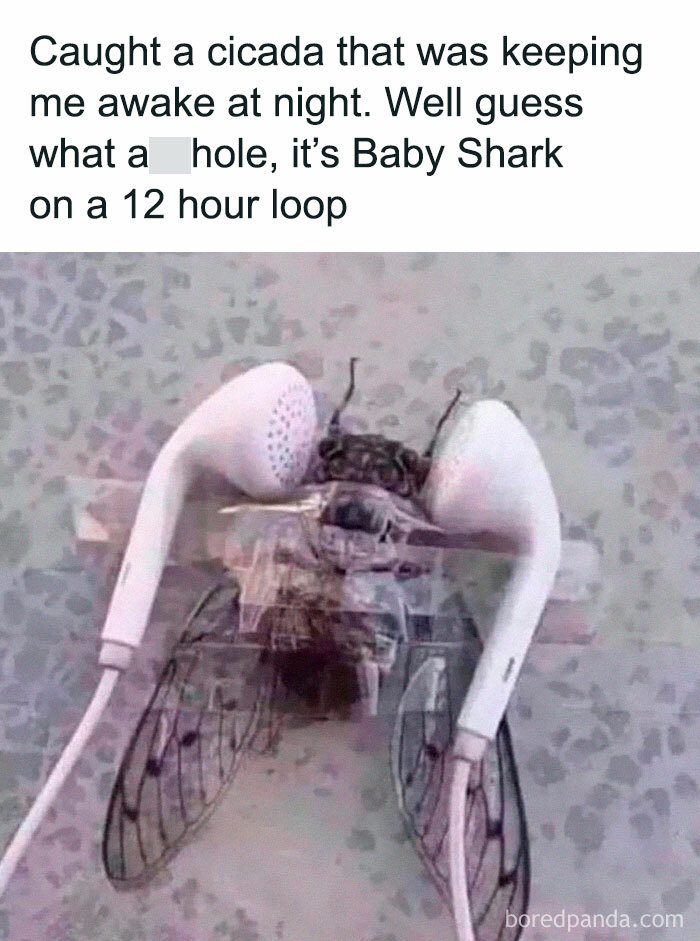 Funny-Random-Relatable-Memes-Memesmelody