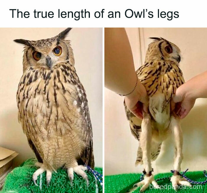 Funny-Random-Relatable-Memes-Memesmelody