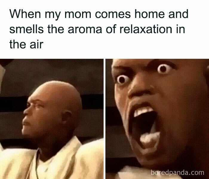 Funny-Random-Relatable-Memes-Memesmelody