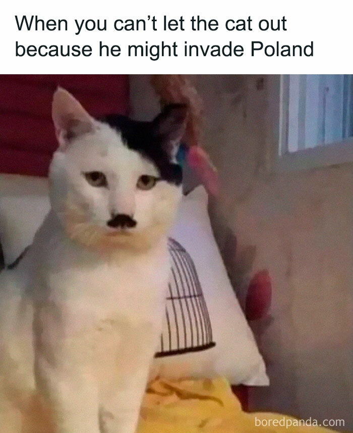 Funny-Random-Relatable-Memes-Memesmelody