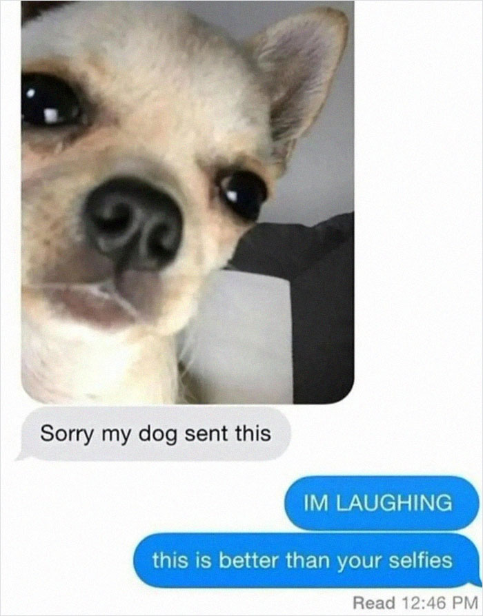 Funny-Random-Relatable-Memes-Memesmelody