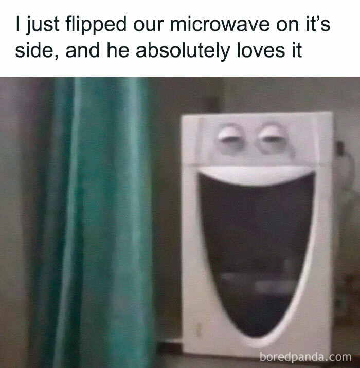 Funny-Random-Relatable-Memes-Memesmelody