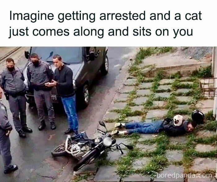 Funny-Random-Relatable-Memes-Memesmelody