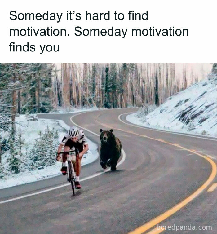 Funny-Random-Relatable-Memes-Memesmelody