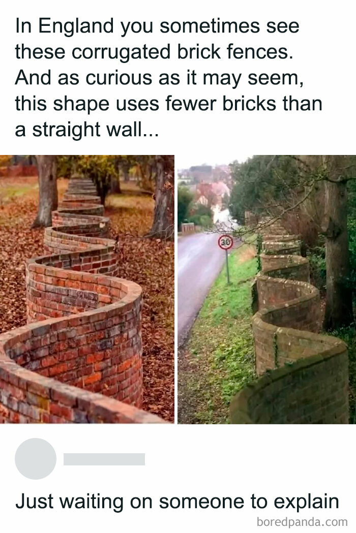 Funny-Random-Relatable-Memes-Memesmelody