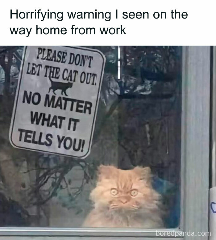 Funny-Random-Relatable-Memes-Memesmelody