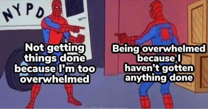 Funny-Relatable-Life-Memes