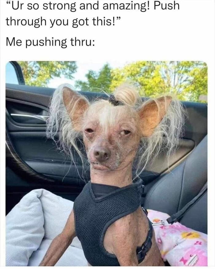 Funny-Relatable-Life-Memes