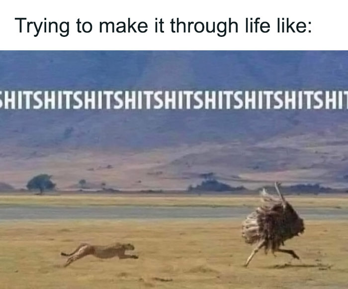 Funny-Relatable-Life-Memes