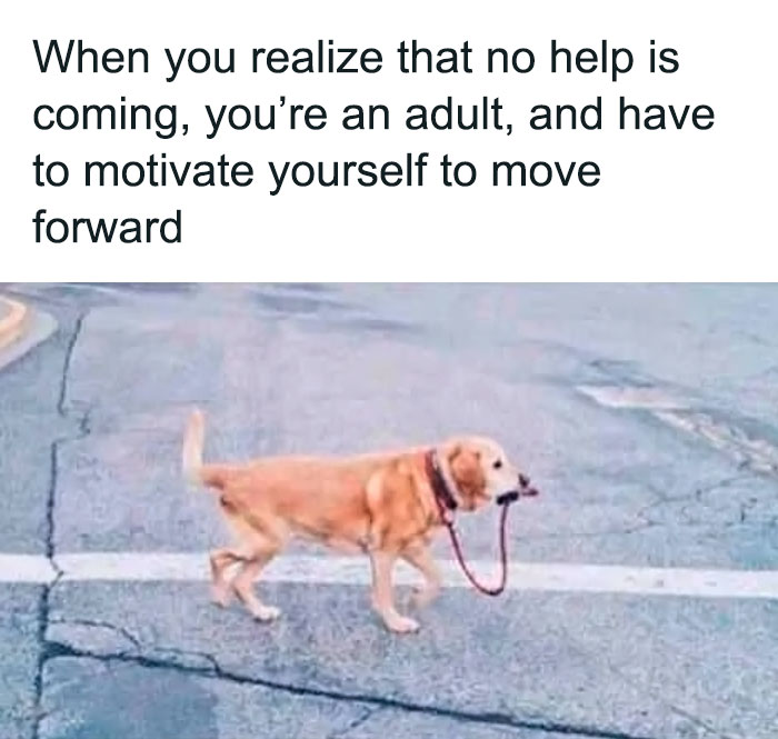 Funny-Relatable-Life-Memes