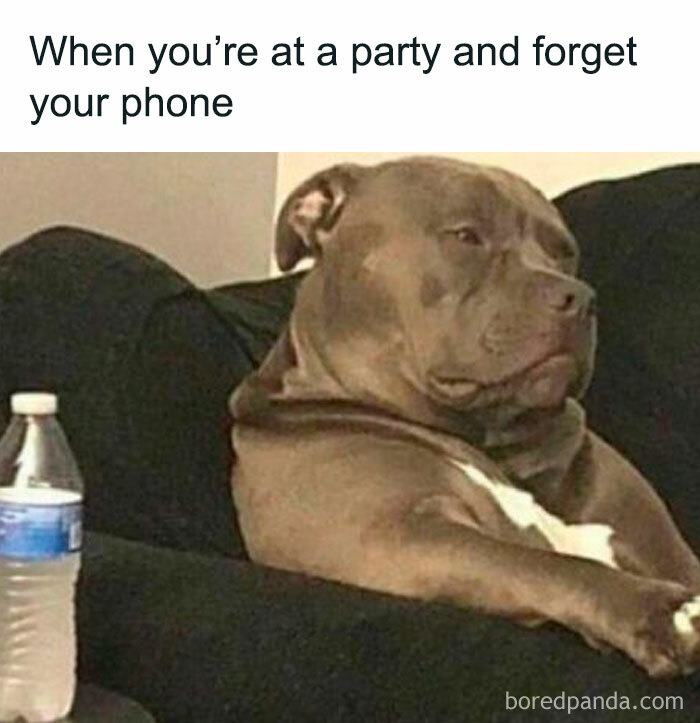 Funny-Relatable-Memes-Introverts-Of-Society