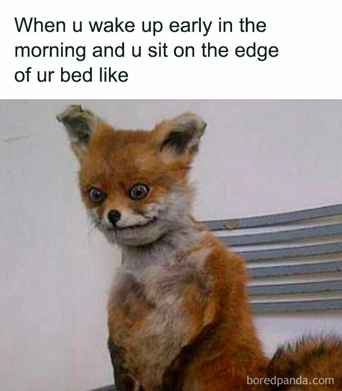 Funny-Relatable-Memes-Introverts-Of-Society