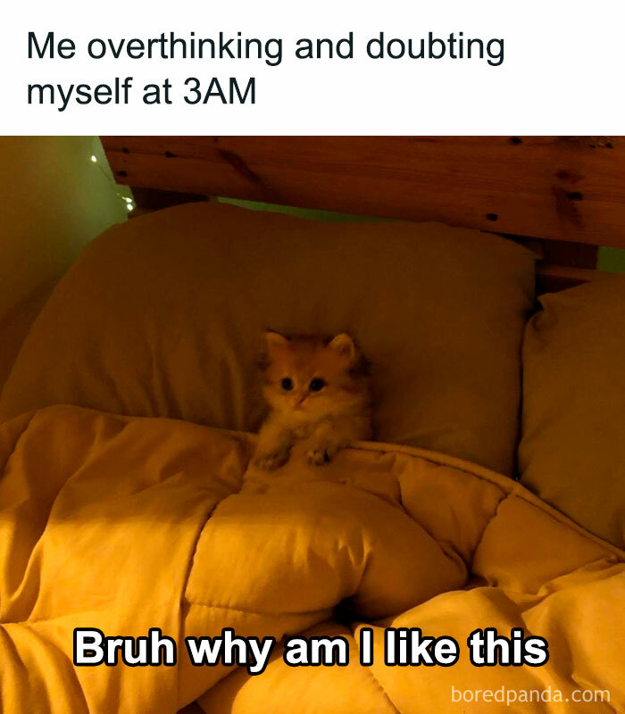 Funny-Relatable-Memes-Introverts-Of-Society