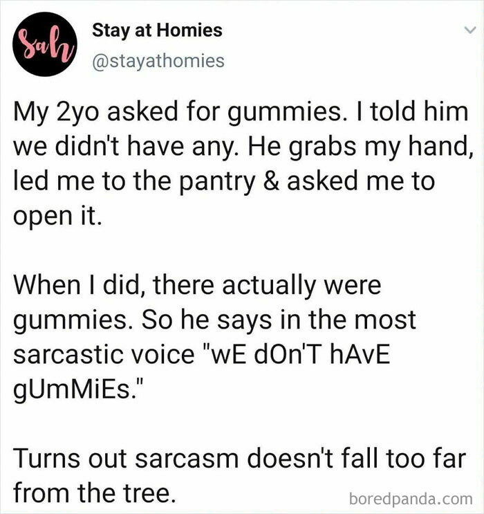 Funny-Sarcastic-Parenting-Adulting-Memes