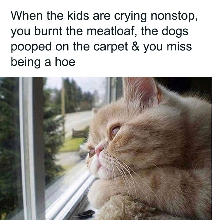 Funny-Sarcastic-Parenting-Adulting-Memes