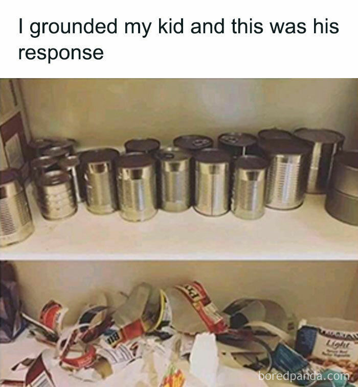 Funny-Sarcastic-Parenting-Adulting-Memes