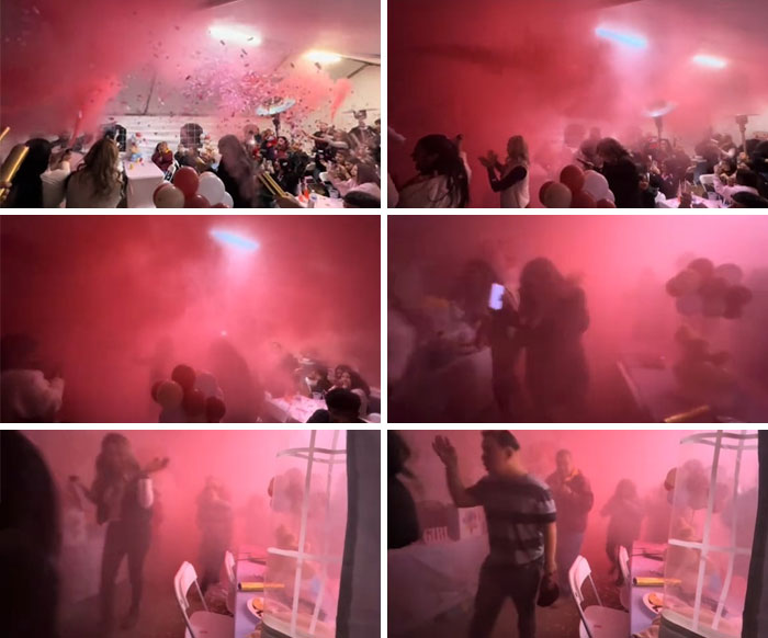 Let's Do The Reveal Inside. What's The Worst That Can Happen? The Aftermath Was Crazy 