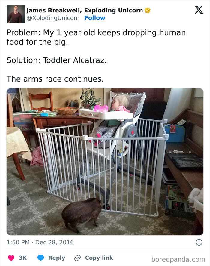 The One-Year-Old Will Quickly Develop Throwing Skills